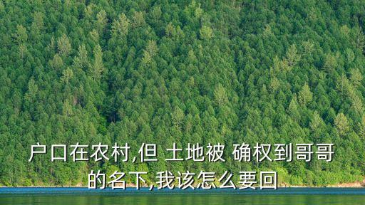 如何追回被別人確權(quán)的土地,宅基地被兄弟偷偷確權(quán)怎么辦