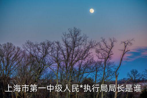 鄭筱萸，上海市第一中級(jí)人民*執(zhí)行局局長(zhǎng)是誰