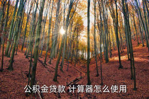 公積金提前還款計(jì)算器,提前還款計(jì)算器