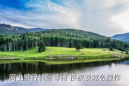 轉(zhuǎn)授權(quán)