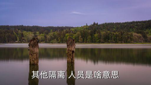 其他人員