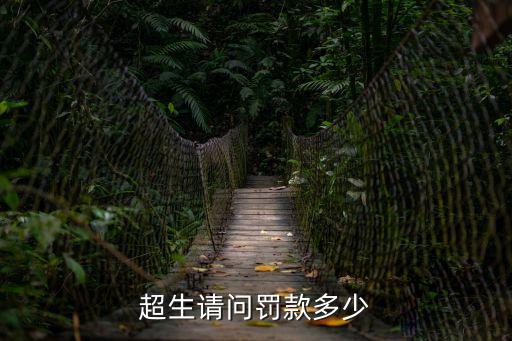 超生罰款標準，超生罰款是多少