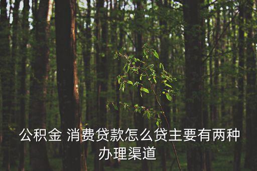公積金消費貸