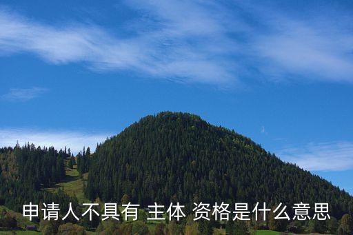 主體資格
