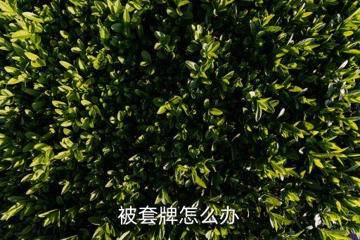 被套牌怎么辦