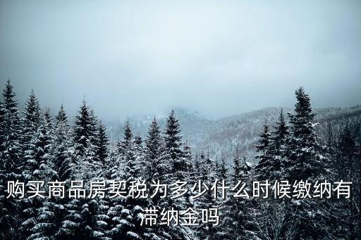 買商品房，購買商品房契稅為多少什么時候繳納有滯納金嗎