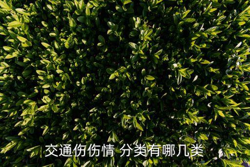 交通傷傷情 分類有哪幾類