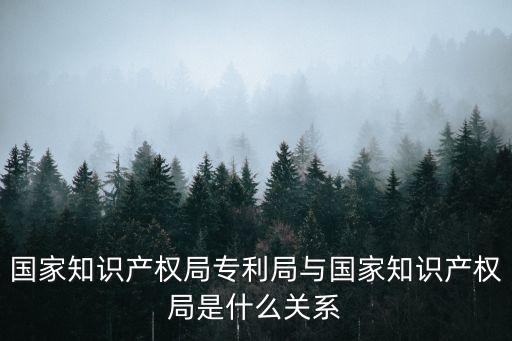國家知識產權局專利局與國家知識產權局是什么關系