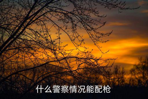 什么警察情況能配槍