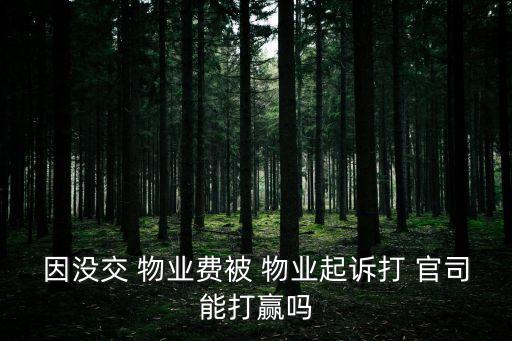 因沒交 物業(yè)費(fèi)被 物業(yè)起訴打 官司能打贏嗎