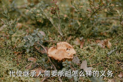 代位繼承人需要承擔怎么樣的義務