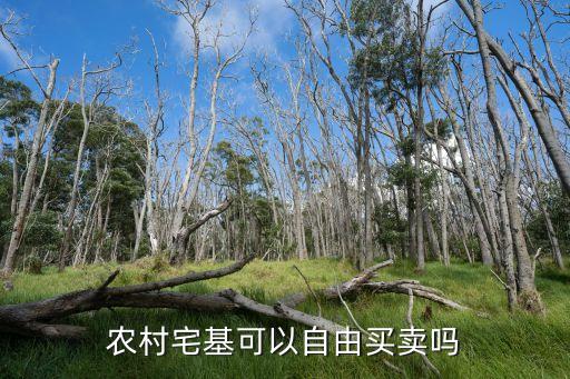 宅基地買賣，農(nóng)村宅基可以自由買賣嗎