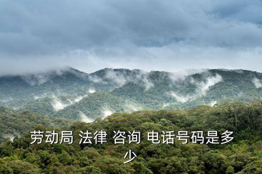  勞動(dòng)局 法律 咨詢 電話號(hào)碼是多少