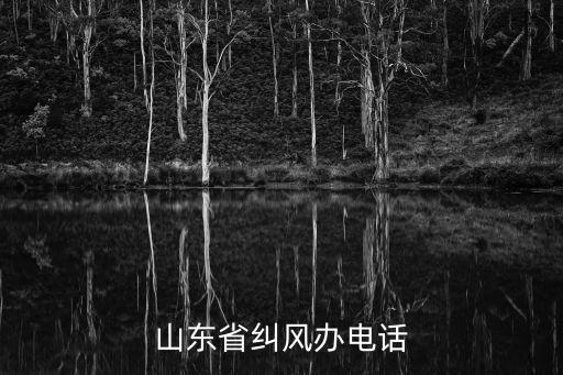糾風(fēng)辦，糾風(fēng)辦的工作特點(diǎn)