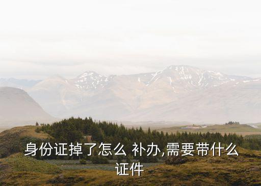 身份證補(bǔ)辦流程,2023年身份證補(bǔ)辦流程