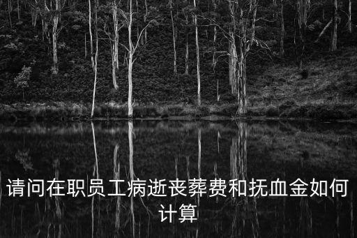 喪葬費(fèi)如何計(jì)算，請(qǐng)問(wèn)在職員工病逝喪葬費(fèi)和撫血金如何計(jì)算