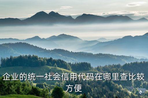 企業(yè)的統(tǒng)一社會信用代碼在哪里查比較方便