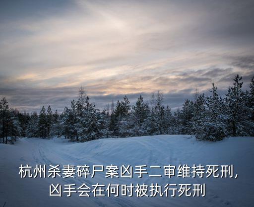 杭州殺妻碎尸案兇手二審維持死刑,兇手會在何時被執(zhí)行死刑