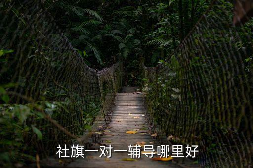  社旗一對一輔導哪里好
