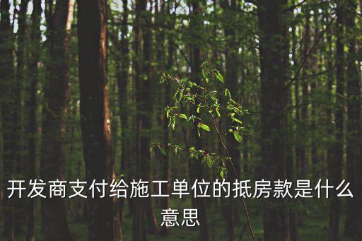 工程抵款房，什么是工程抵押房