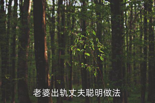 老婆出軌丈夫聰明做法，老婆出軌丈夫聰明做法
