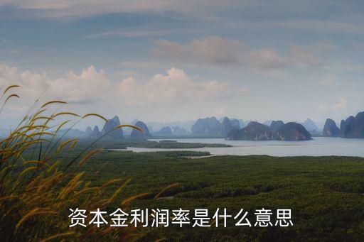 資本金利潤率，資本金利潤率是什么意思