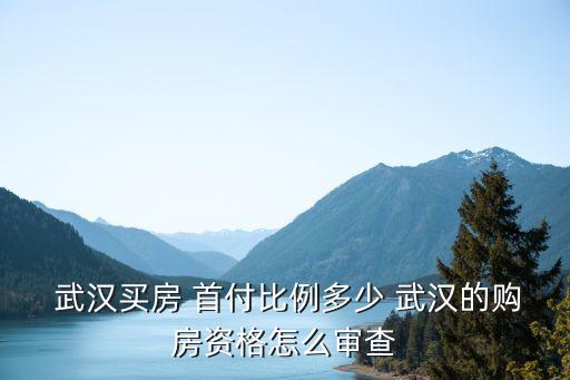 武漢首付