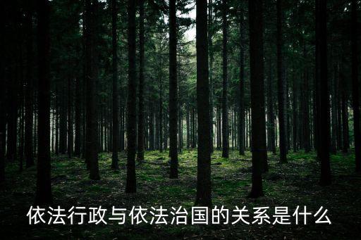 依法行政的核心是，依法治國(guó)的重要組成部分是什么