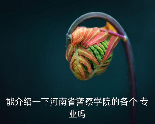 能介紹一下河南省警察學(xué)院的各個(gè) 專(zhuān)業(yè)嗎