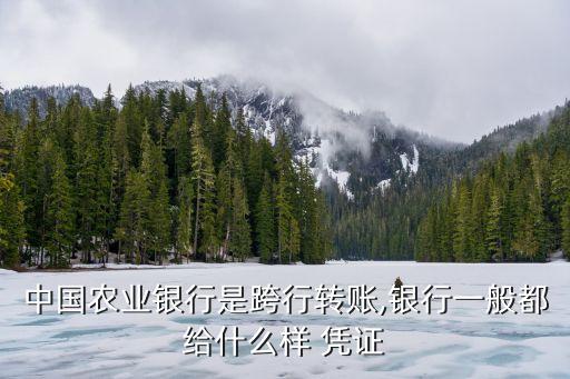 匯款憑證,手機(jī)銀行匯款憑證