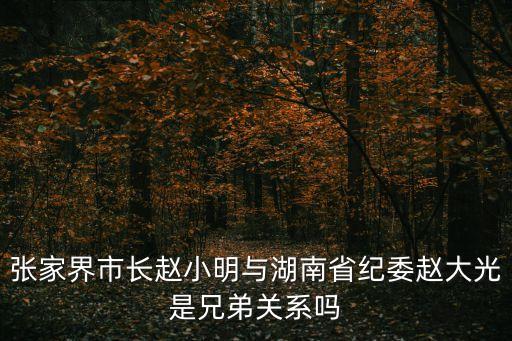 趙大光，張家界市長(zhǎng)趙小明與湖南省紀(jì)委趙大光是兄弟關(guān)系嗎