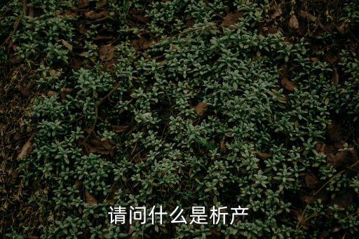 析產(chǎn)是什么意思，請(qǐng)問(wèn)什么是析產(chǎn)