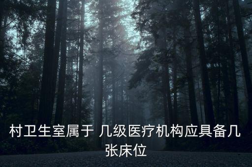 村衛(wèi)生室屬于 幾級(jí)醫(yī)療機(jī)構(gòu)應(yīng)具備幾張床位