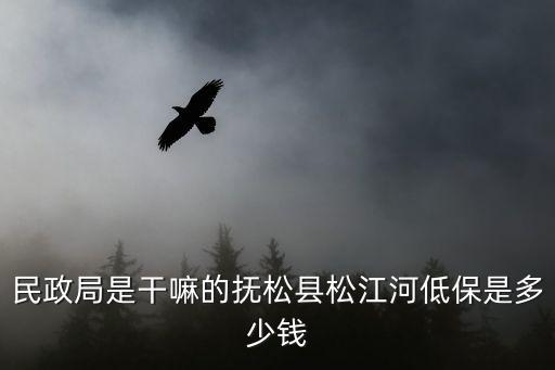民政局是干嘛的，民政局是干什么的