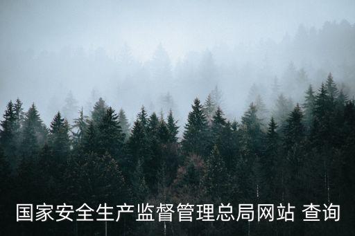 國家安全生產(chǎn)監(jiān)督管理總局網(wǎng)站 查詢