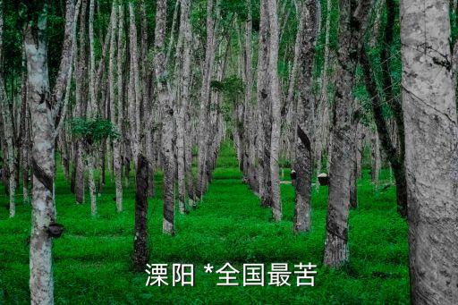 溧陽(yáng)*