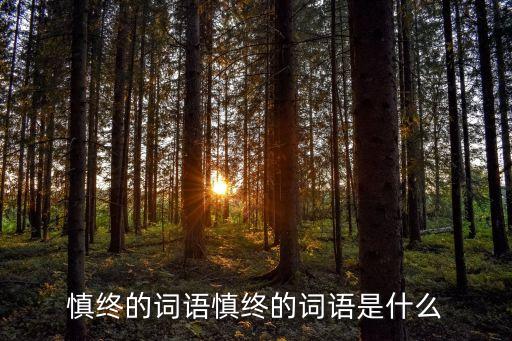 薛潮，薛潮的主要簡歷