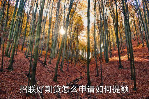 招聯(lián)分期，招聯(lián)好期貸怎么申請如何提額