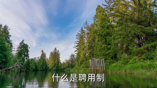 聘用制，什么是聘用制
