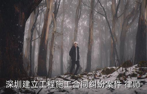 深圳市合同法律師有哪些