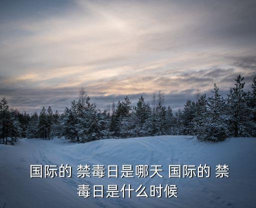  國際的 禁毒日是哪天 國際的 禁毒日是什么時候
