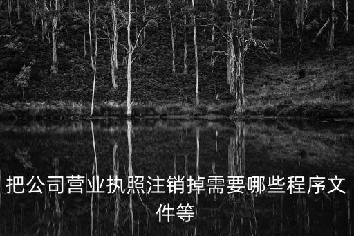把公司營業(yè)執(zhí)照注銷掉需要哪些程序文件等