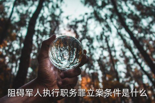 阻礙執(zhí)行職務(wù)，什么是妨礙執(zhí)行職務(wù)