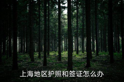 上海地區(qū)護(hù)照和簽證怎么辦
