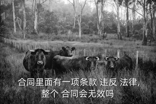 合同中部分違反法律規(guī)定,如果簽訂的合同中有違反法律的條款