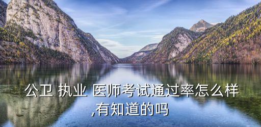 公衛(wèi)執(zhí)業(yè)醫(yī)師