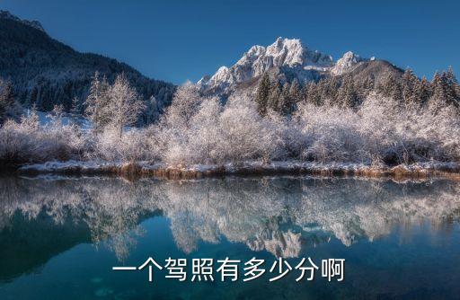 駕駛證有多少分，駕駛證總分是多少