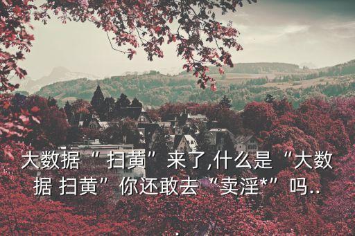 大數(shù)據(jù)“ 掃黃”來了,什么是“大數(shù)據(jù) 掃黃”你還敢去“賣淫*”嗎...