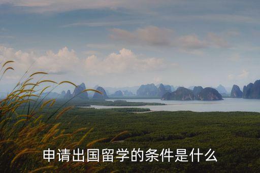 出國(guó)留學(xué)要求，出國(guó)留學(xué)需要具備什么條件
