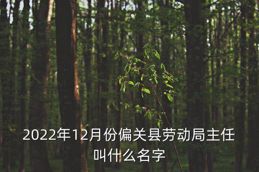 郭建忠，介紹幾個(gè)優(yōu)秀的 網(wǎng)絡(luò)歌手 星弟 徐良這樣的